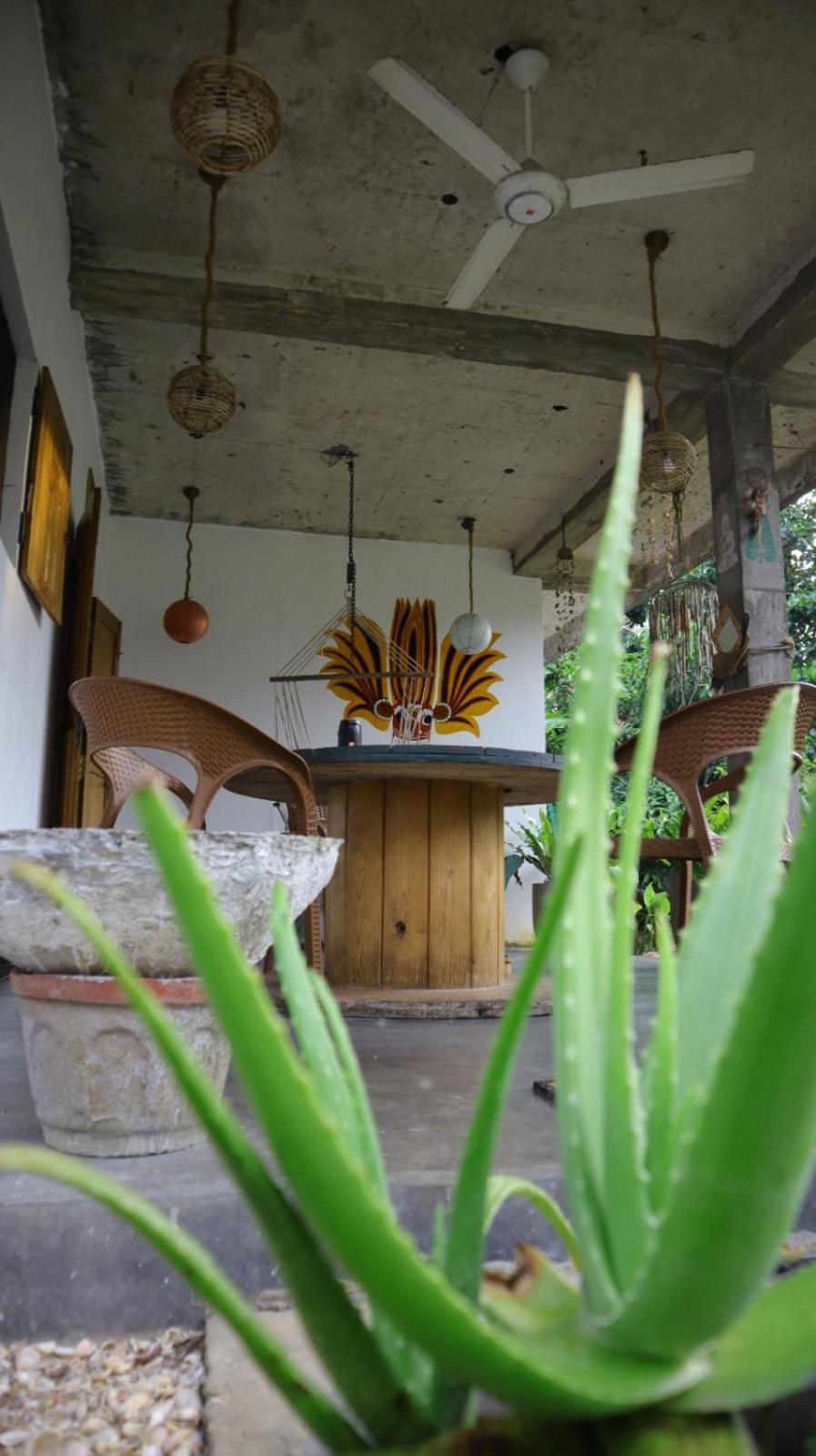 Julianu Hotel Tangalle Ngoại thất bức ảnh