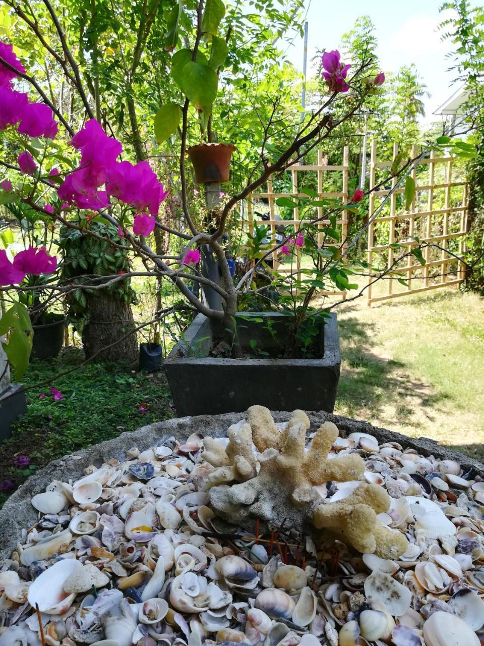 Julianu Hotel Tangalle Ngoại thất bức ảnh